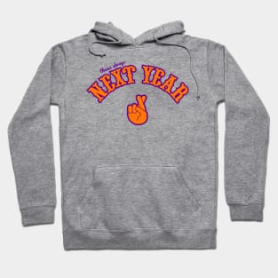 Phoenix Suns There's Always Next Year "Fingers Crossed" Hoodie